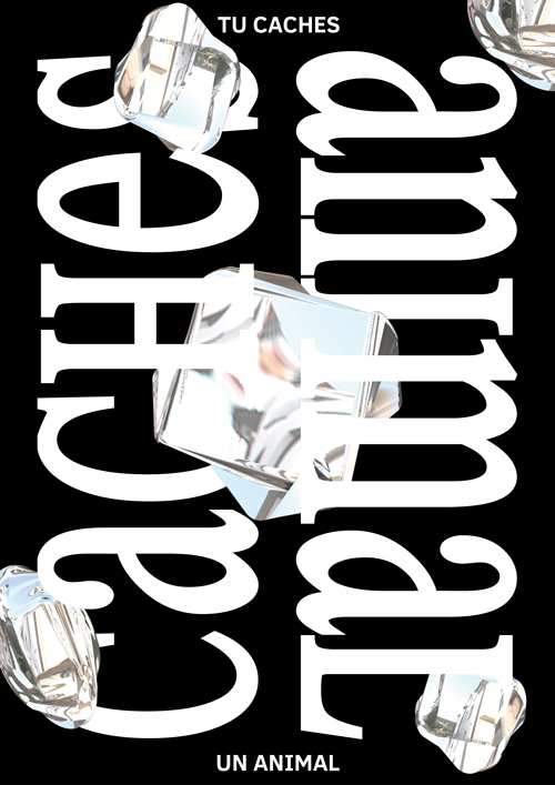 Poster 41