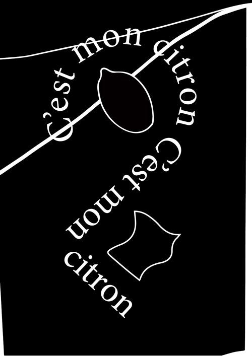 Poster 8